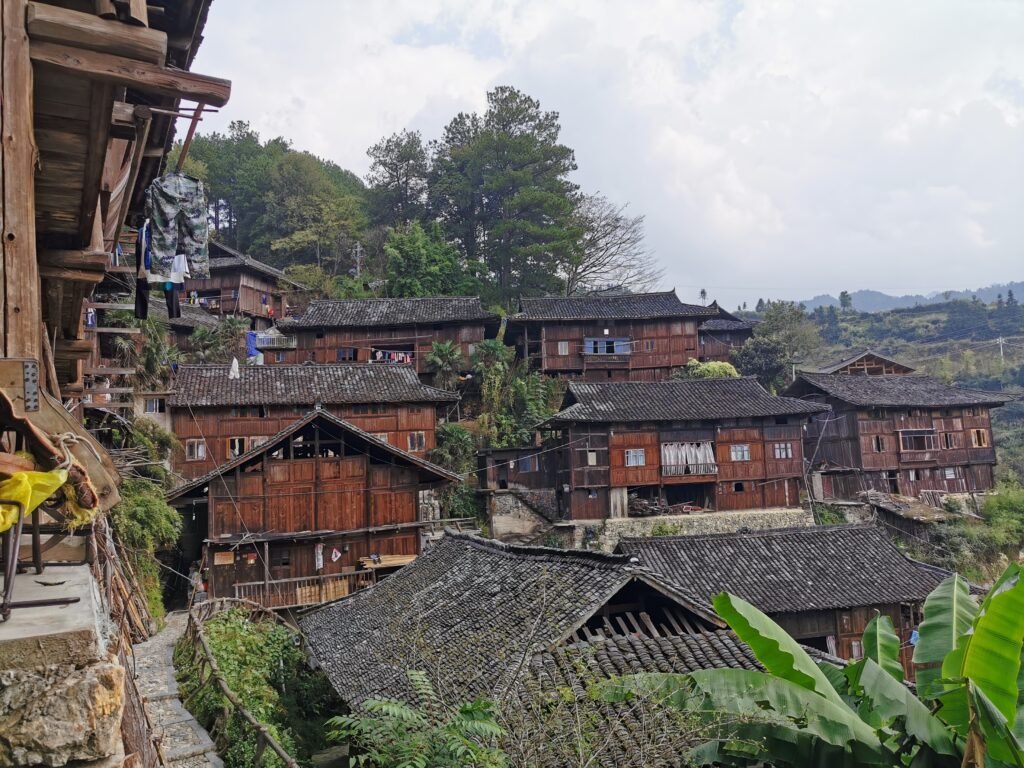 Miao village's organic growing